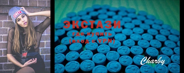 ECSTASY Богданович